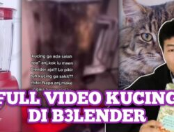 VIDEO Viral Kucing di Blender Hebohkan Tiktok dan Twitter